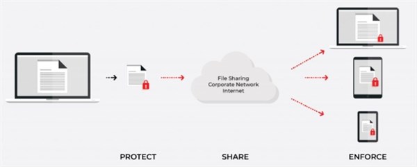 Hardware Lock